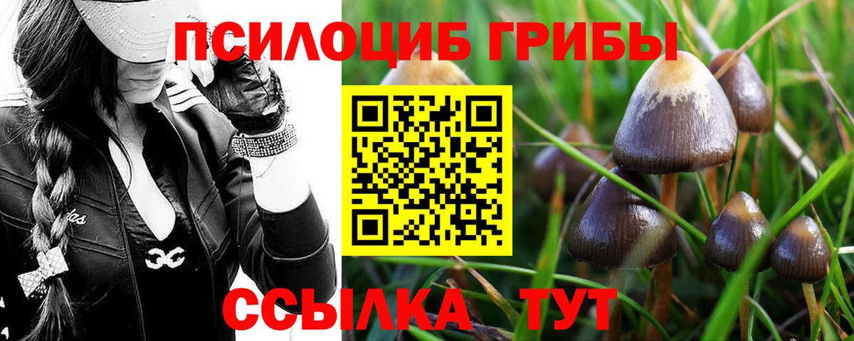 Псилоцибиновые грибы прущие грибы  Галлюциногенные грибы мухоморы  Вход с VPN  Медногорск 